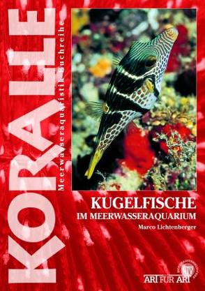 Kugelfische im Meerwasseraquarium von Lichtenberger,  Marco