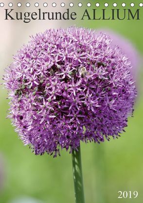 Kugelrunde ALLIUM (Tischkalender 2019 DIN A5 hoch) von SchnelleWelten