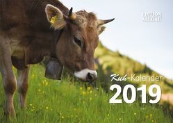 Kuh-Kalender 2019 von Allgäulichtbild, Neufert,  Denise, Wandel,  Juliane, Zapf,  Benjamin