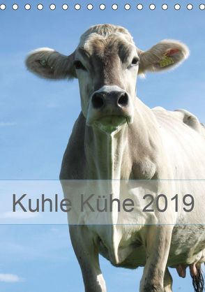 Kuhle Kühe 2019 (Tischkalender 2019 DIN A5 hoch) von Dietsch,  Monika