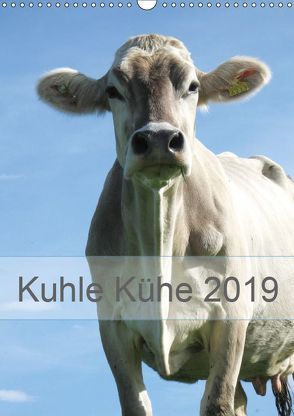 Kuhle Kühe 2019 (Wandkalender 2019 DIN A3 hoch) von Dietsch,  Monika