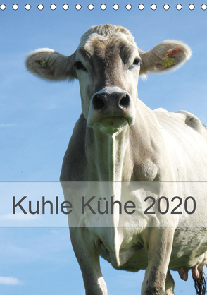 Kuhle Kühe 2020 (Tischkalender 2020 DIN A5 hoch) von Dietsch,  Monika