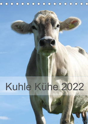 Kuhle Kühe 2022 (Tischkalender 2022 DIN A5 hoch) von Dietsch,  Monika