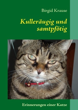 Kulleräugig und samtpfötig von Krause,  Birgid