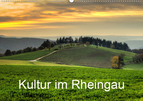 Kultur im Rheingau (Wandkalender 2020 DIN A2 quer) von Hess,  Erhard