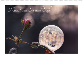 Kunst aus Eis und Seife (Wandkalender 2022 DIN A2 quer) von Fleischer,  Susann