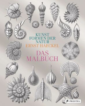 Kunstformen der Natur von Ernst Haeckel von Dziadosz,  Barbara, Haeckel,  Ernst