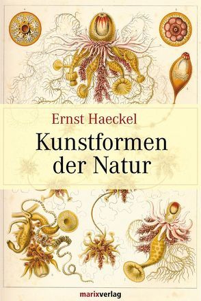 Kunstformen der Natur von Haeckel,  Ernst Heinrich