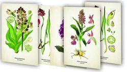 Kunstklappkarten „Zauberhafte Orchideen“ von Quelle & Meyer Verlag