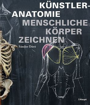 Künstleranatomie von Dóró,  Sándor