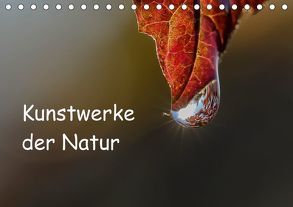 Kunstwerke der Natur (Tischkalender 2018 DIN A5 quer) von Potratz,  Andrea