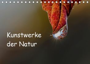 Kunstwerke der Natur (Tischkalender 2019 DIN A5 quer) von Potratz,  Andrea