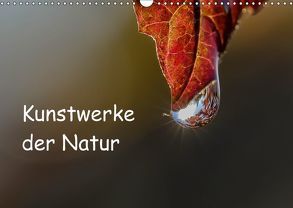 Kunstwerke der Natur (Wandkalender 2018 DIN A3 quer) von Potratz,  Andrea