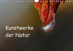 Kunstwerke der Natur (Wandkalender 2018 DIN A4 quer) von Potratz,  Andrea