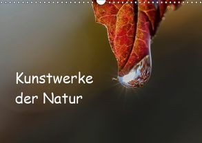 Kunstwerke der Natur (Wandkalender 2019 DIN A3 quer) von Potratz,  Andrea