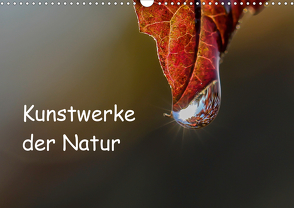 Kunstwerke der Natur (Wandkalender 2020 DIN A3 quer) von Potratz,  Andrea