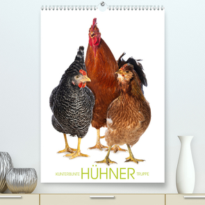 Kunterbunte Hühner Truppe (Premium, hochwertiger DIN A2 Wandkalender 2023, Kunstdruck in Hochglanz) von Kiener - DoraZett,  Judith