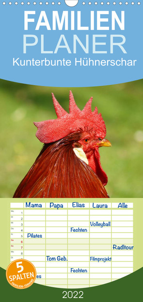 Kunterbunte Hühnerschar – Familienplaner hoch (Wandkalender 2022 , 21 cm x 45 cm, hoch) von kattobello