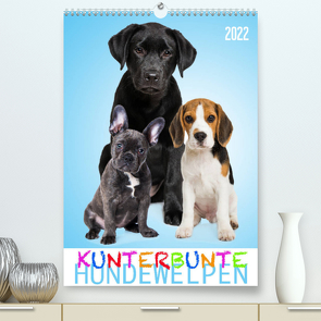 Kunterbunte Hundewelpen (Premium, hochwertiger DIN A2 Wandkalender 2022, Kunstdruck in Hochglanz) von Dzierzawa (DoraZett),  Judith