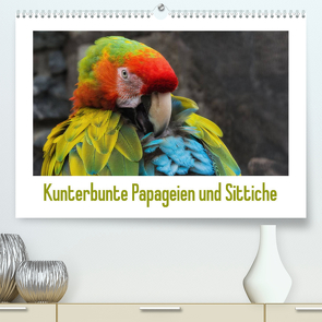 Kunterbunte Papageien und Sittiche (Premium, hochwertiger DIN A2 Wandkalender 2023, Kunstdruck in Hochglanz) von Beuck,  Angelika