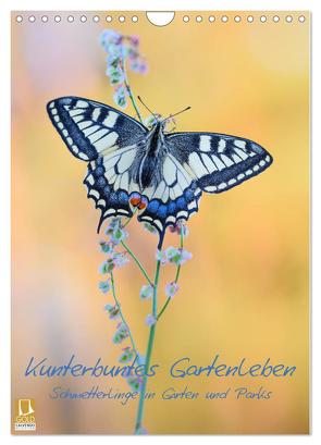Kunterbuntes Gartenleben – Schmetterlinge in Gärten und Parks (Wandkalender 2024 DIN A4 hoch), CALVENDO Monatskalender von Marth,  Thomas