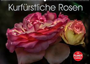 Kurfürstliche Rosen Eltville am Rhein (Wandkalender 2023 DIN A2 quer) von Meyer,  Dieter