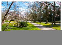 Kurpark Baden-Baden (Wandkalender 2024 DIN A2 quer), CALVENDO Monatskalender von Voigt,  Tanja Kurpark Baden-Baden (Wandkalender 2024 DIN A2 quer), CALVENDO Monatskalender von Voigt,  Tanja