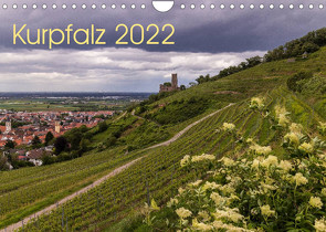 Kurpfalz 2022 (Wandkalender 2022 DIN A4 quer) von Losekann,  Holger