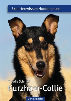 Kurzhaar-Collie von Schmidt,  Claudia