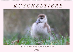 Kuschel-Tiere – Ein Kalender für Kinder (Wandkalender 2022 DIN A2 quer) von Flori0