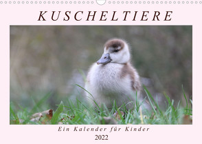 Kuschel-Tiere – Ein Kalender für Kinder (Wandkalender 2022 DIN A3 quer) von Flori0