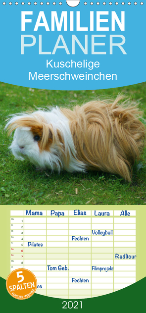 Kuschelige Meerschweinchen – Familienplaner hoch (Wandkalender 2021 , 21 cm x 45 cm, hoch) von kattobello