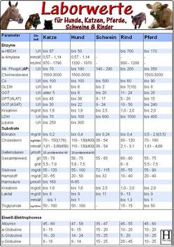 Laborwerte-Karte für Hunde, Katzen, Pferde, Schweine & Rinder von Hawelka Verlag