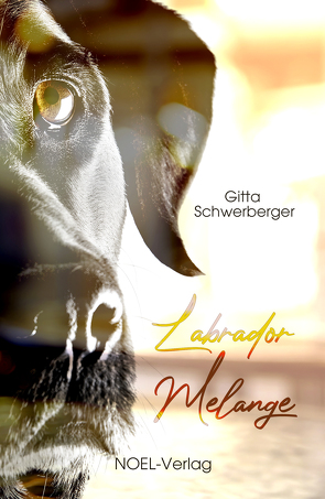 Labrador Melange von Schwerberger,  Gitta
