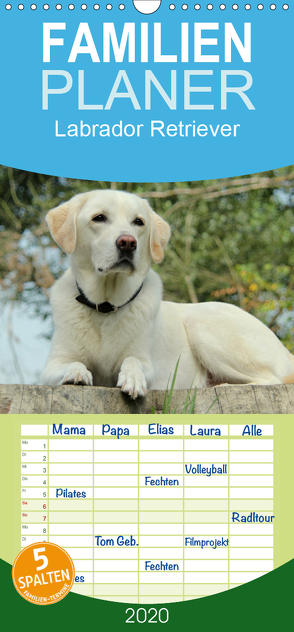 Labrador Retriever 2020 – Familienplaner hoch (Wandkalender 2020 , 21 cm x 45 cm, hoch) von Schreuer,  Anita