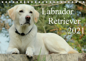 Labrador Retriever 2021 (Tischkalender 2021 DIN A5 quer) von Schreuer,  Anita