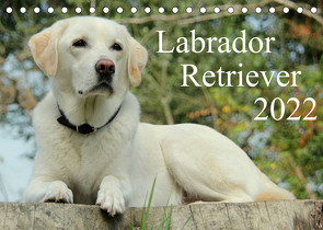 Labrador Retriever 2022 (Tischkalender 2022 DIN A5 quer) von Schreuer,  Anita