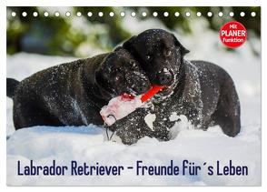 Labrador Retriever – Freunde für´s Leben (Tischkalender 2024 DIN A5 quer), CALVENDO Monatskalender von Starick,  Sigrid