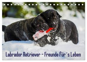 Labrador Retriever – Freunde für´s Leben (Tischkalender 2024 DIN A5 quer), CALVENDO Monatskalender von Starick,  Sigrid