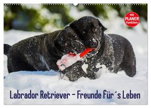 Labrador Retriever – Freunde für´s Leben (Wandkalender 2024 DIN A2 quer), CALVENDO Monatskalender von Starick,  Sigrid