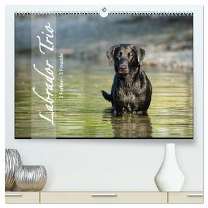 Labrador Trio – 3 Farben, 3 Freunde (hochwertiger Premium Wandkalender 2024 DIN A2 quer), Kunstdruck in Hochglanz von Strunz,  Cornelia