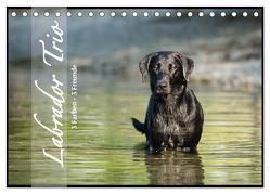 Labrador Trio – 3 Farben, 3 Freunde (Tischkalender 2024 DIN A5 quer), CALVENDO Monatskalender von Strunz,  Cornelia