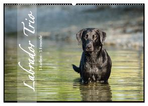 Labrador Trio – 3 Farben, 3 Freunde (Wandkalender 2024 DIN A2 quer), CALVENDO Monatskalender von Strunz,  Cornelia