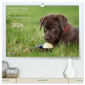 Labrador Welpe – Seelenhund (hochwertiger Premium Wandkalender 2024 DIN A2 quer), Kunstdruck in Hochglanz von Schiller,  Petra