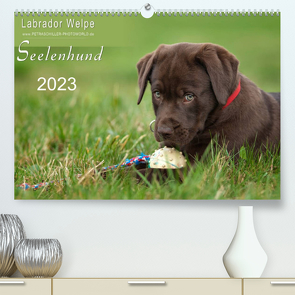 Labrador Welpe – Seelenhund (Premium, hochwertiger DIN A2 Wandkalender 2023, Kunstdruck in Hochglanz) von Schiller,  Petra