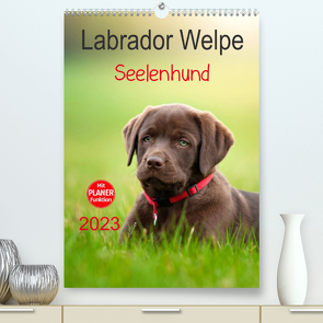 Labrador Welpe – Seelenhund (Premium, hochwertiger DIN A2 Wandkalender 2023, Kunstdruck in Hochglanz) von Schiller,  Petra