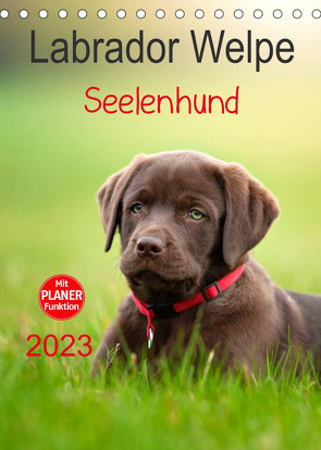 Labrador Welpe – Seelenhund (Tischkalender 2023 DIN A5 hoch) von Schiller,  Petra