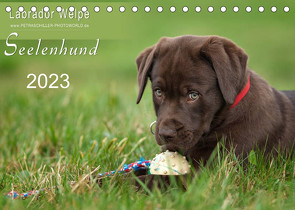 Labrador Welpe – Seelenhund (Tischkalender 2023 DIN A5 quer) von Schiller,  Petra