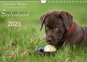 Labrador Welpe – Seelenhund (Wandkalender 2023 DIN A4 quer) von Schiller,  Petra