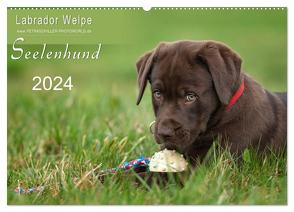 Labrador Welpe – Seelenhund (Wandkalender 2024 DIN A2 quer), CALVENDO Monatskalender von Schiller,  Petra